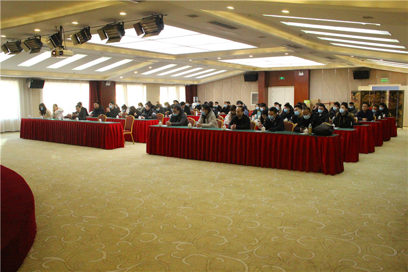 中仪宇盛2020年会(图2)