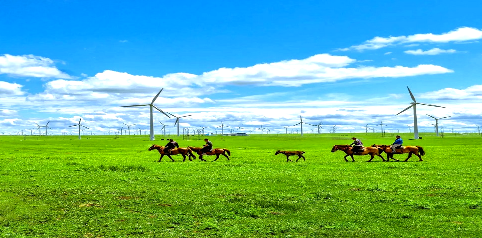 2022年中仪宇盛旅游式团建【相约多伦•焕心出发】(图1) 2022年中仪宇盛旅游式团建【相约多伦•焕心出发】(图1)